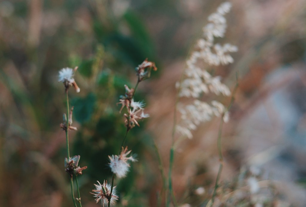 A New Way Forward For Fashion - Esse